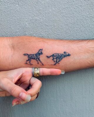 Deftones - White Pony | Cute tattoos, Deftones white pony, Black ink tattoos